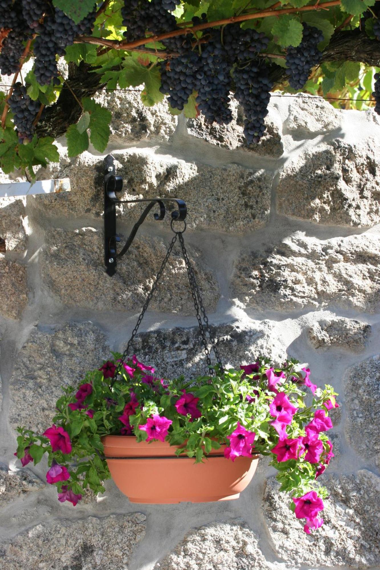 Quinta Da Timpeira Guest House Lamego Luaran gambar