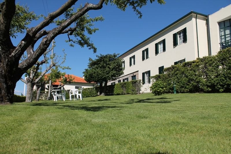 Quinta Da Timpeira Guest House Lamego Luaran gambar