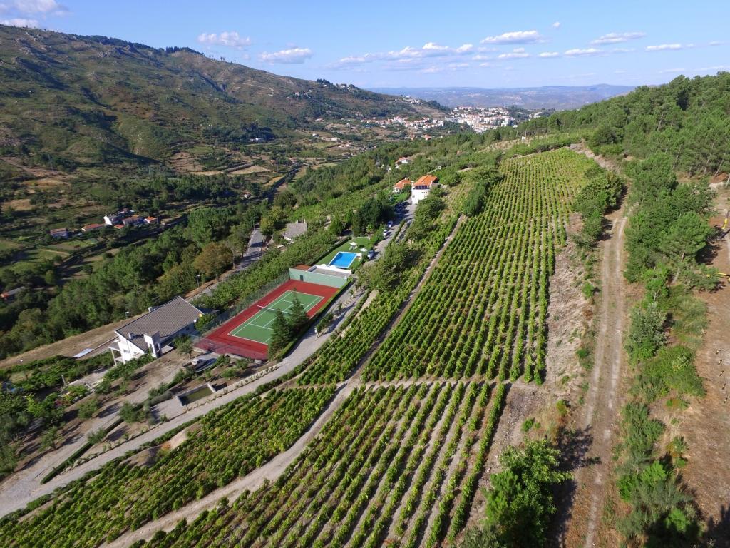 Quinta Da Timpeira Guest House Lamego Luaran gambar