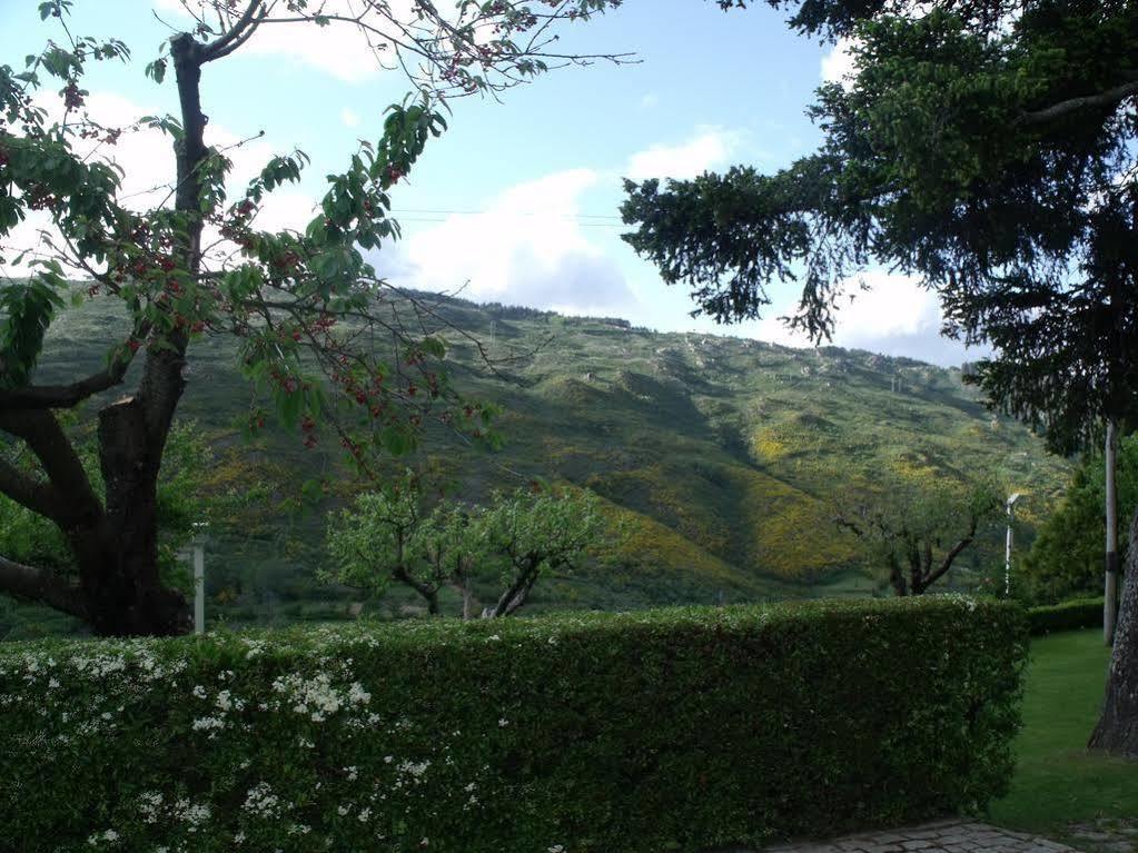 Quinta Da Timpeira Guest House Lamego Luaran gambar