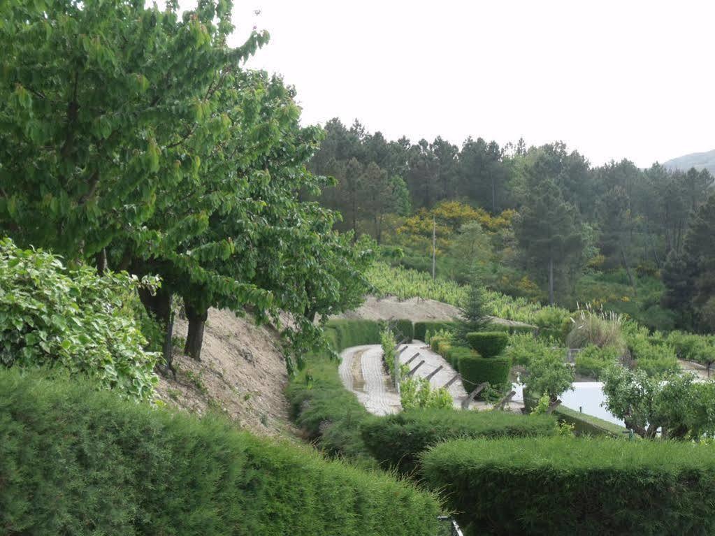 Quinta Da Timpeira Guest House Lamego Luaran gambar