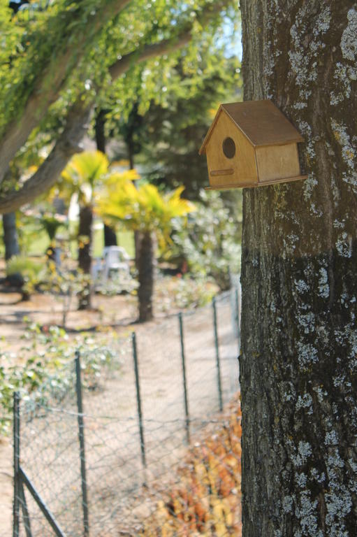 Quinta Da Timpeira Guest House Lamego Luaran gambar
