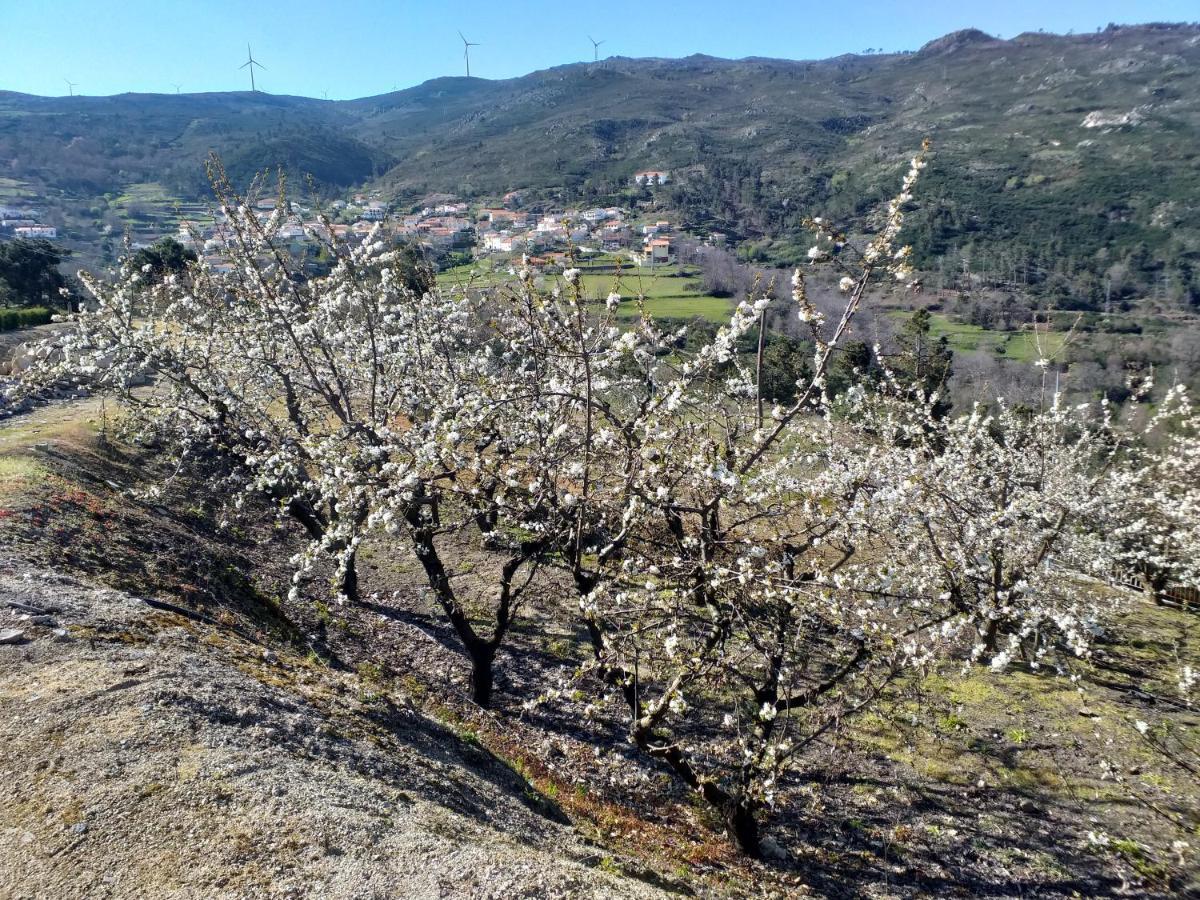 Quinta Da Timpeira Guest House Lamego Luaran gambar